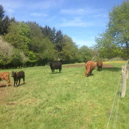 Metzgerei Massem Schillingen
